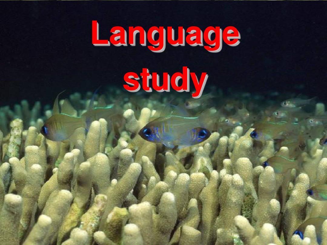 新人教选修7 Unit3 Under the sea-Using language[课件]
