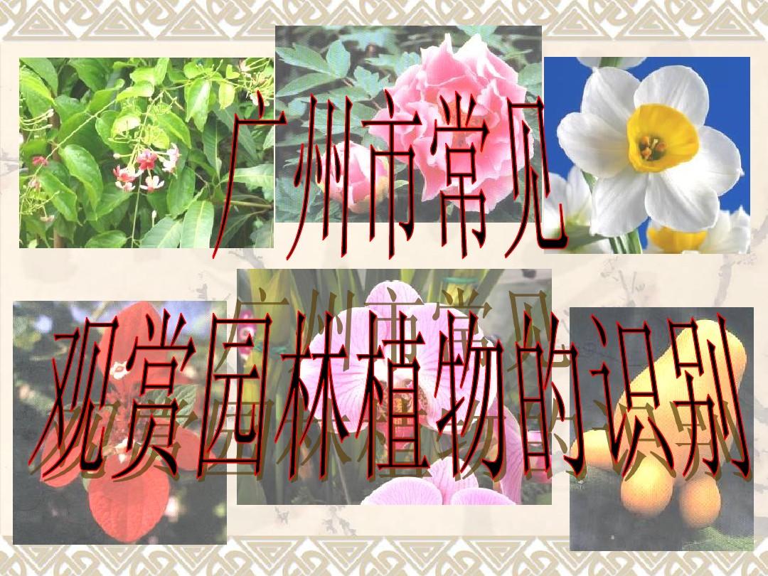 广州常见园林植物识别