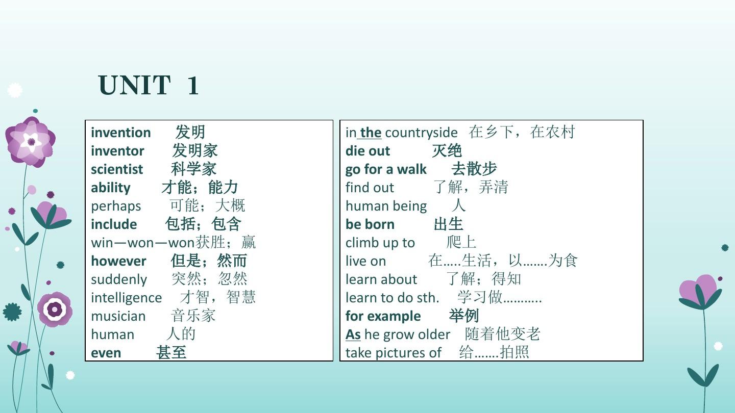 广州新版英语八年级初二上册总复习要点