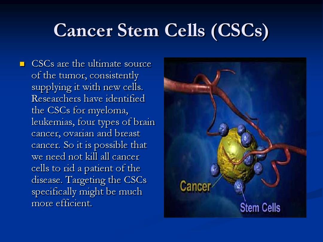 Current and Future Perspectives on Cancer Stem Cells 9