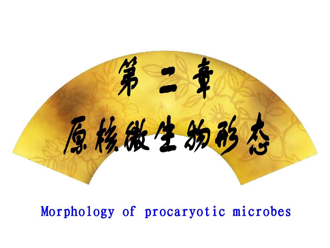 微生物学2-1 原核微生物形态-细菌的形状和大小