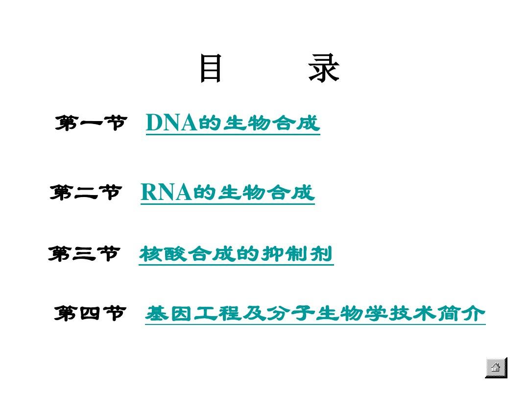 大学教程DNA的生物合成 (2)