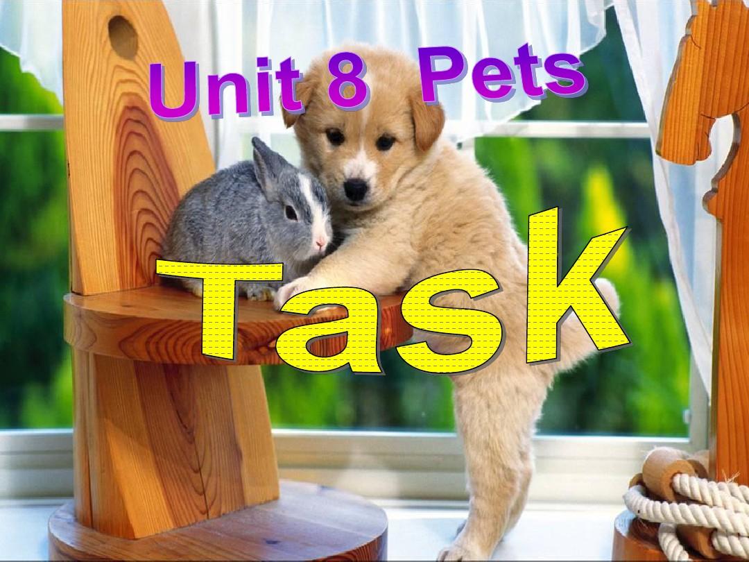 牛津译林版7B Unit8 Pets task课件