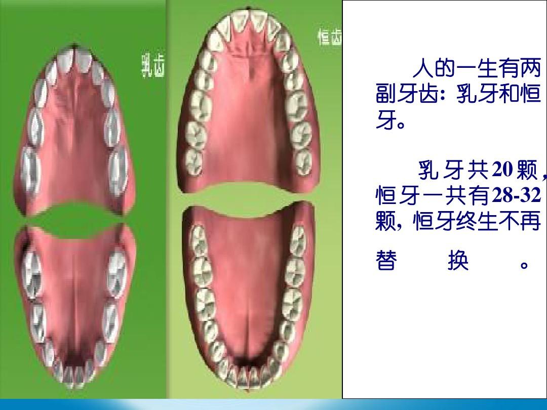 保护牙齿课件