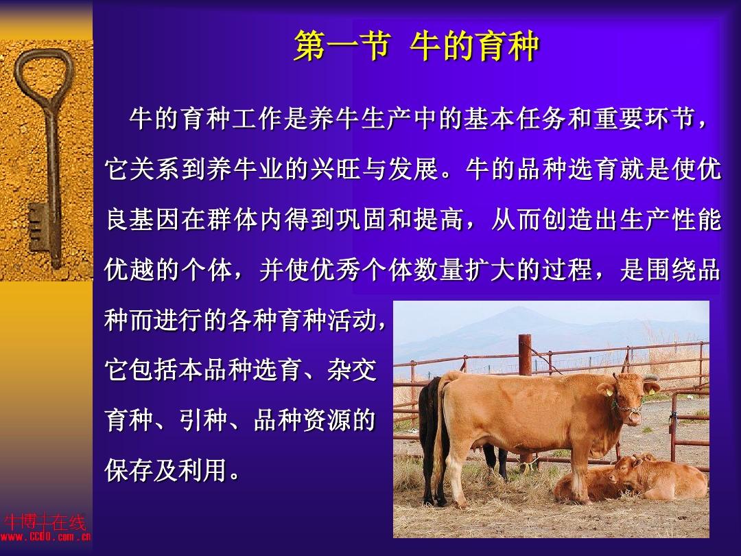 第九章 牛的育种繁殖技术与管理
