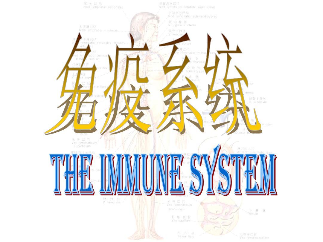 人体解剖学免疫系统