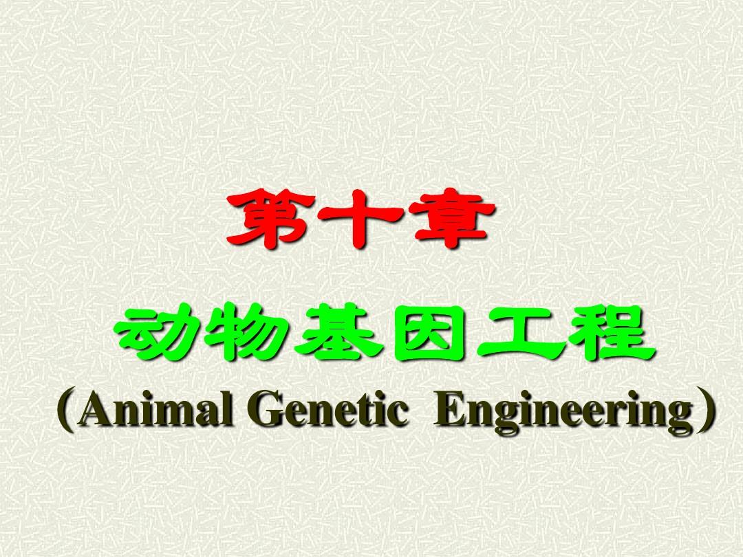 第10章 动物基因工程