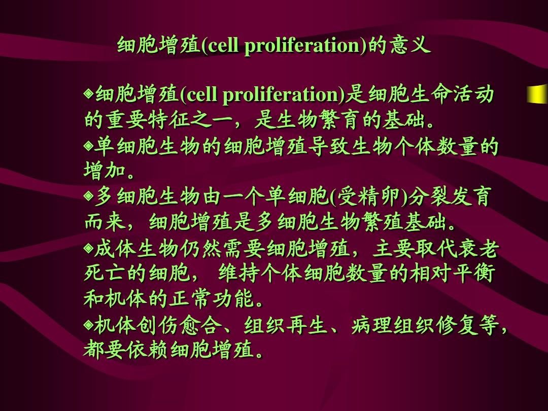 南师大细胞生物学 考研课件 第11章+细胞增殖与调控