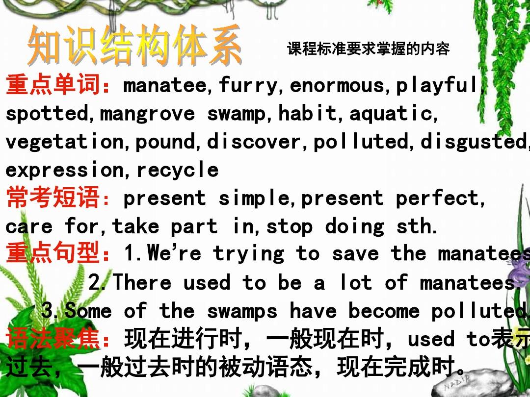 We are trying to save the mantees课件