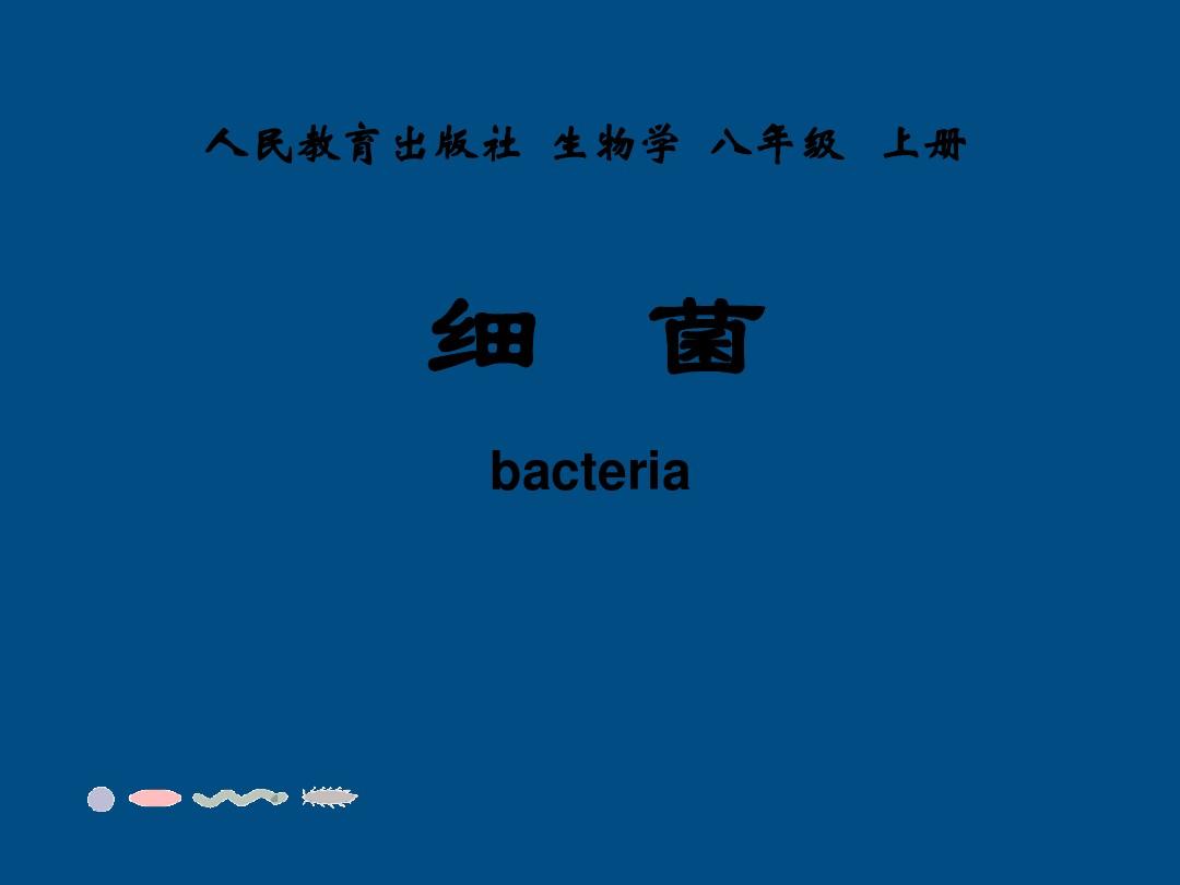 八年级生物上册 第四章第二节细菌课件 人教新课标版