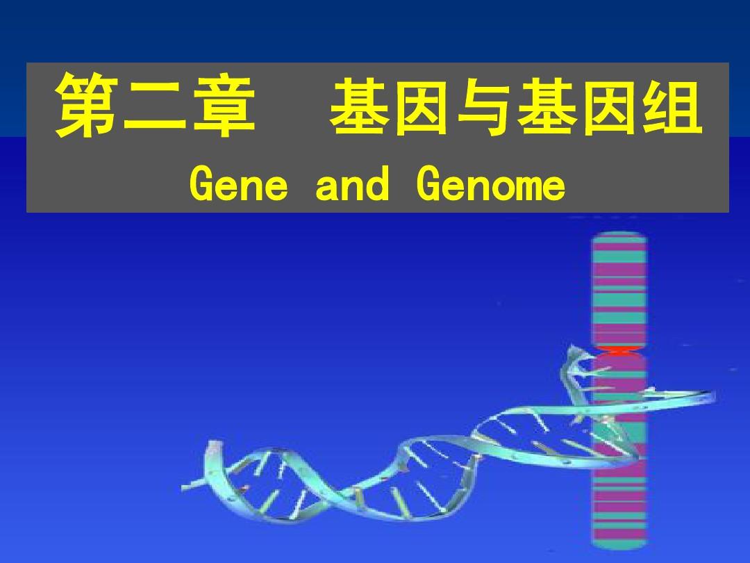 第二章 基因与基因组