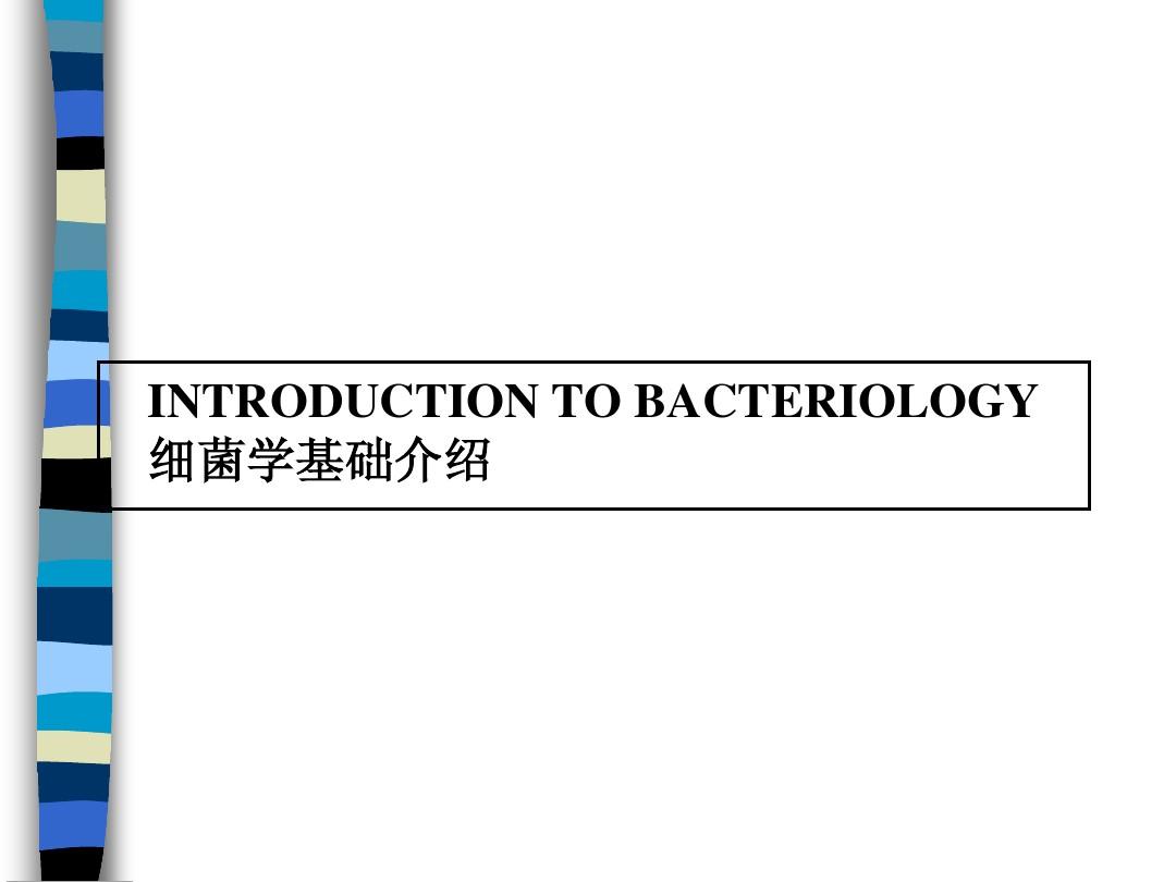 常见细菌分类