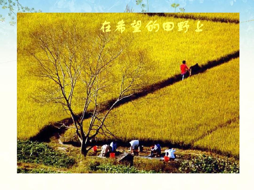中国古代的农业经济PPT课件