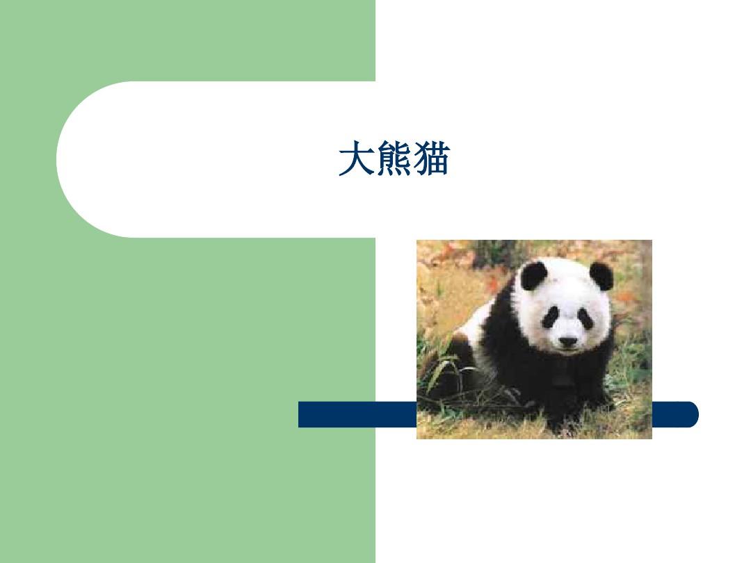 《保护野生动物》PPT-环保主题班会课件.ppt