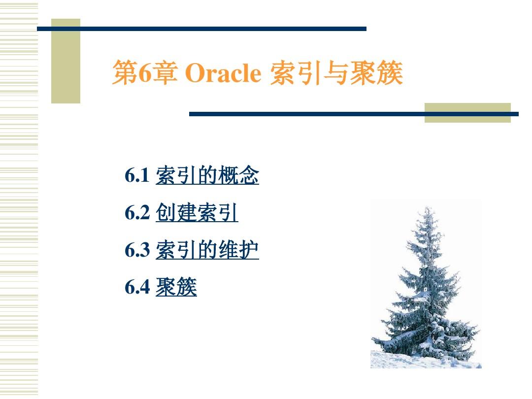 第6章 Oracle 索引与聚簇