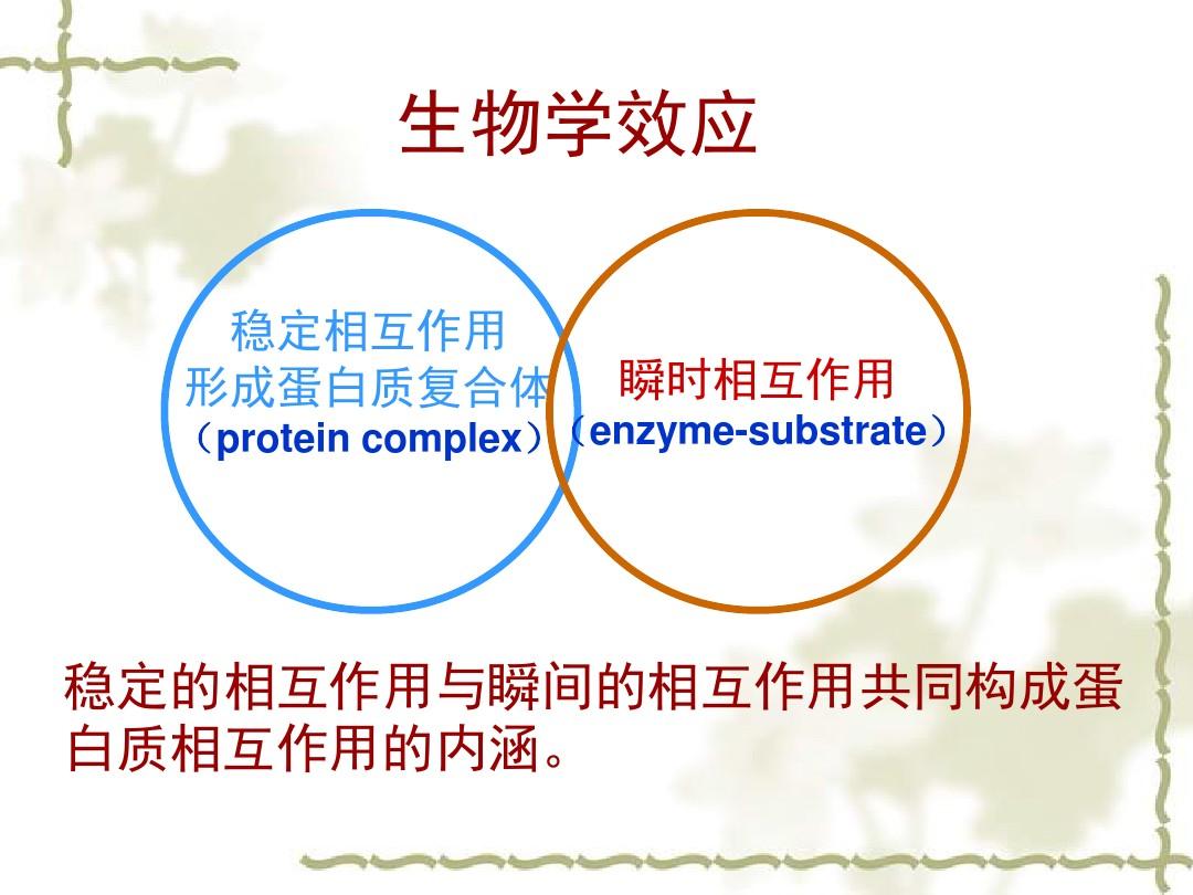 蛋白质相互作用研究方法