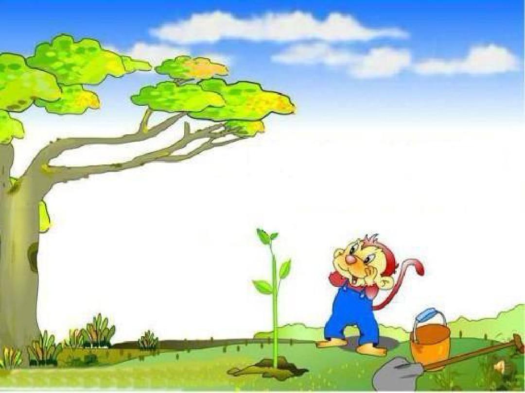 猴子种果树