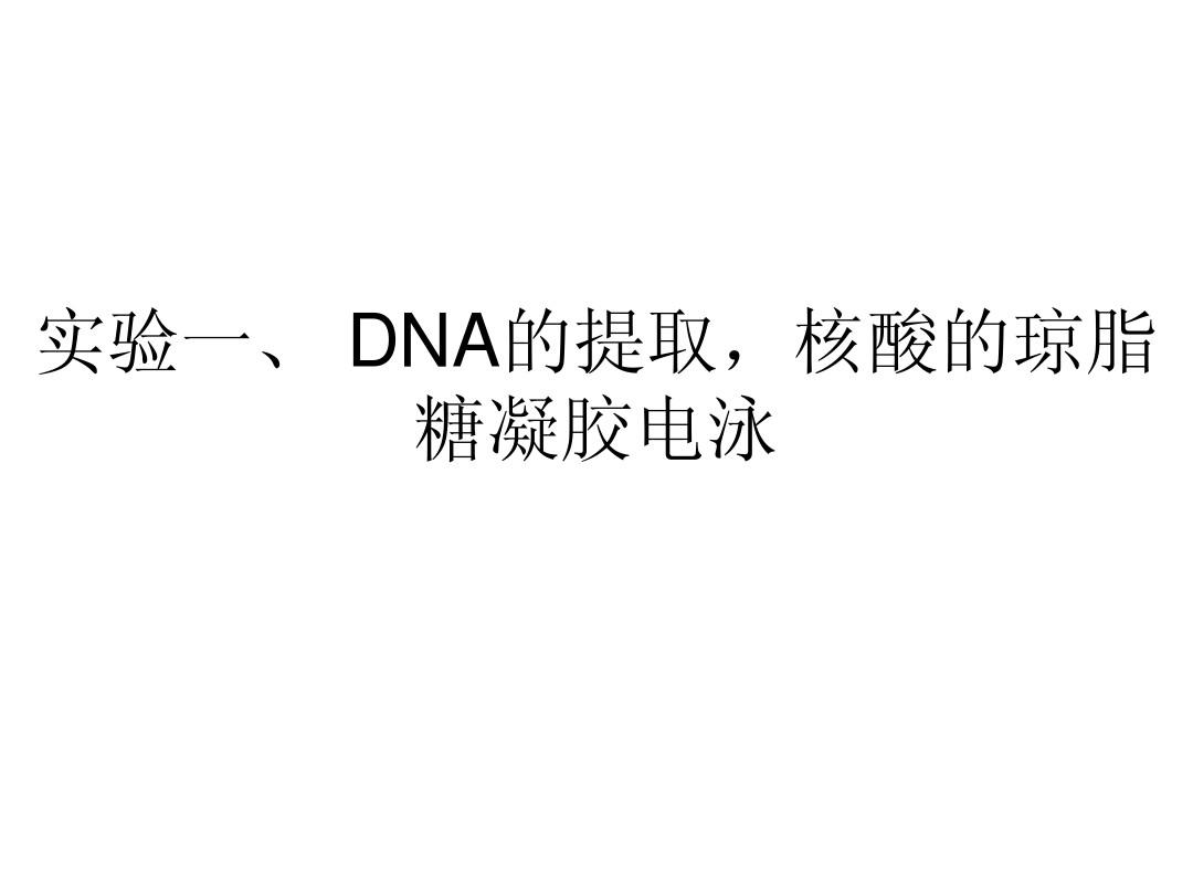 1.DNA的提取,核酸的琼脂糖凝胶电泳