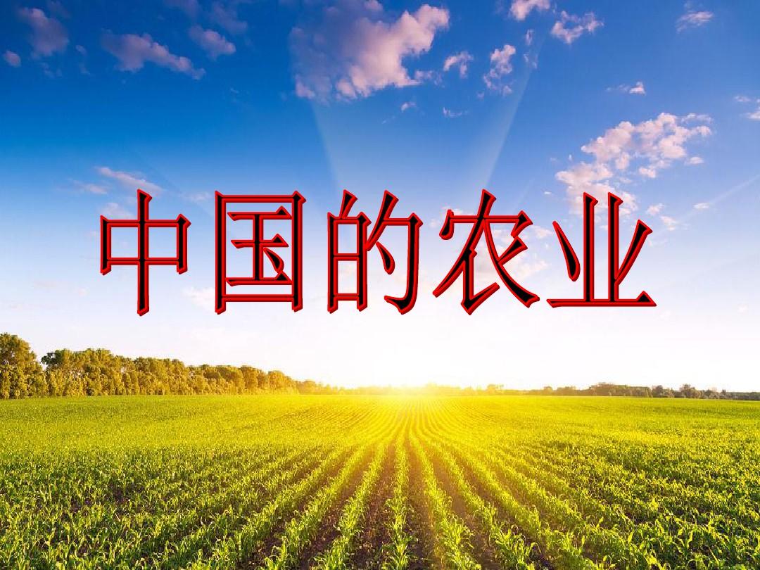 区域地理-中国的农业(公开课)PPT课件