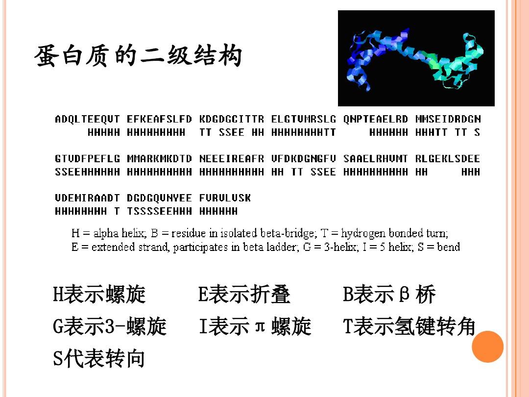 2蛋白质序列特征分析~生物信息学全解