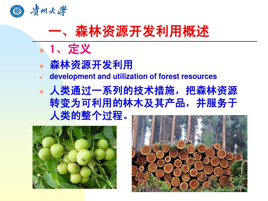第五章 森林资源开发利用