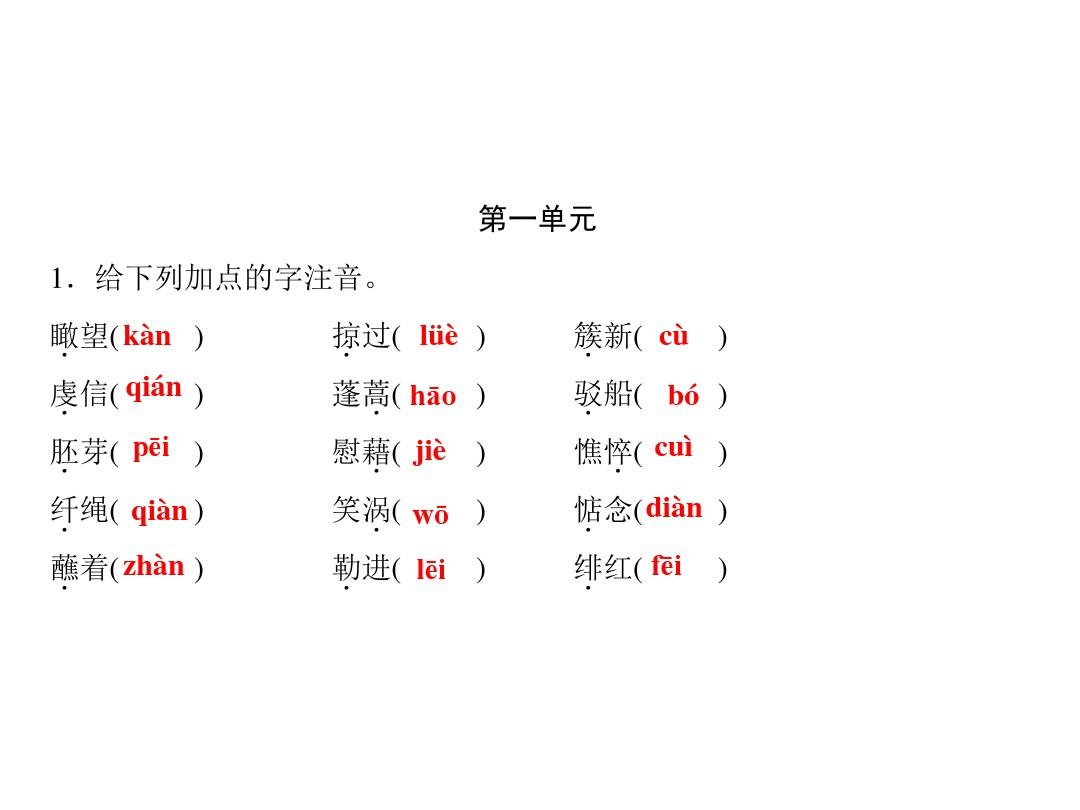 2017人教版九年级语文下册期末专题复习 专题一 拼音与汉字