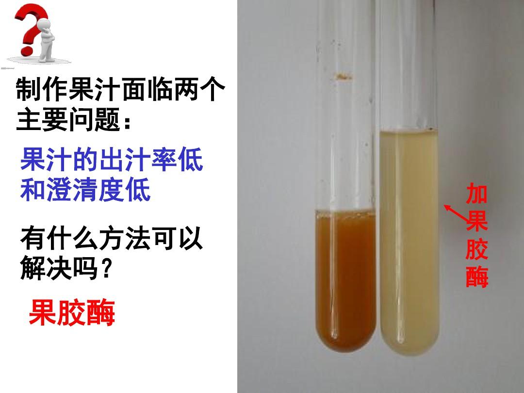 4.1果胶酶在果汁生产中的应用(公开课)