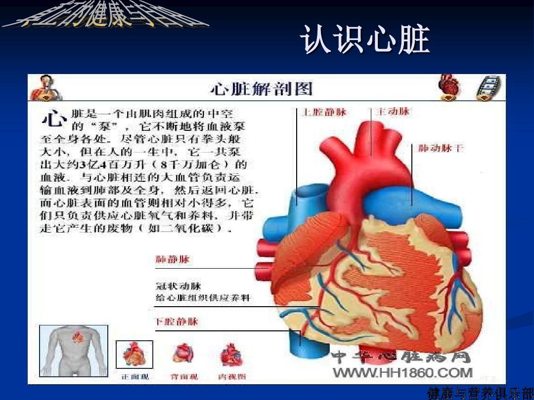 心脏病-PPT课件