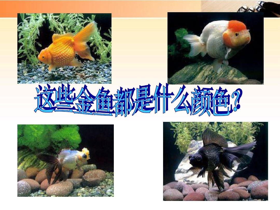 【语文S版】一年级语文上册：《绿色的金鱼》教学课件