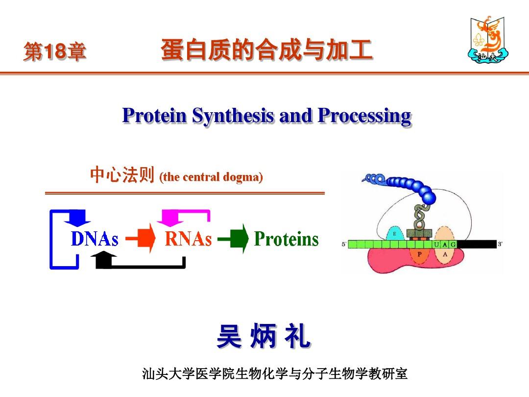 生物化学与分子生物学-2014-11 (七年制)蛋白质的生物合成 -wbl