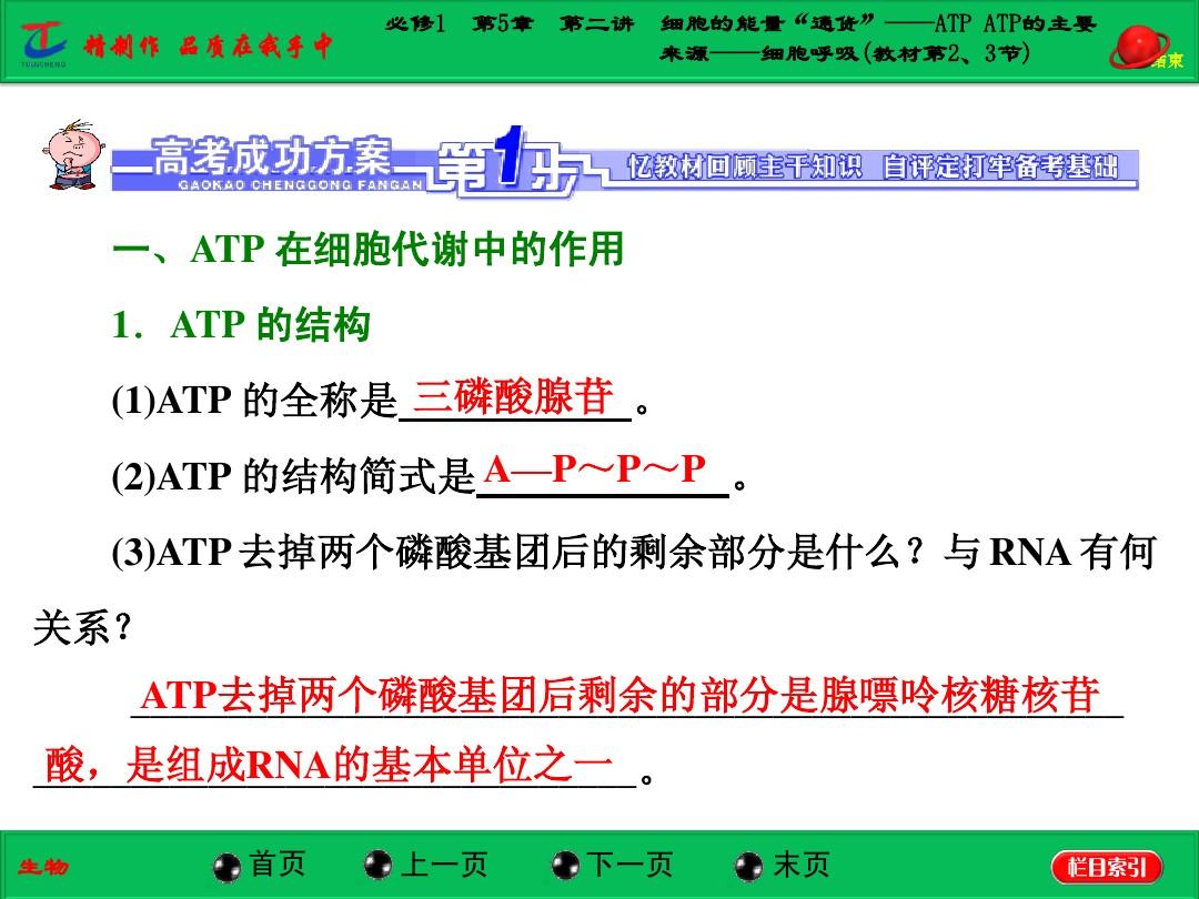 必修1  第5章  第二讲  细胞的能量“通货”——ATP ATP的主要来源——细胞呼吸(教材第2、3节)