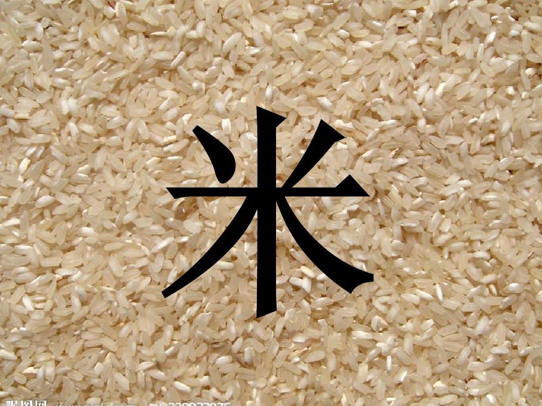 米、米饭 幻灯片