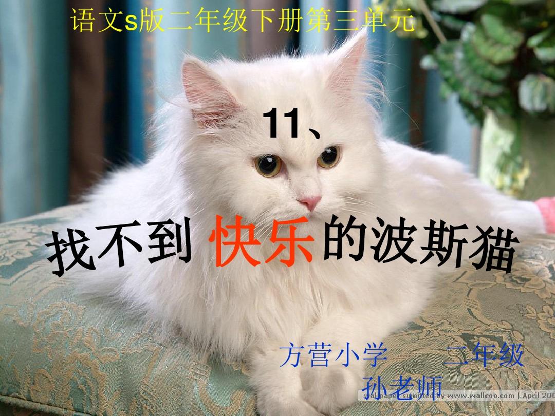 s版语文二年级下册11《找不到快乐的波斯猫》课件(1)