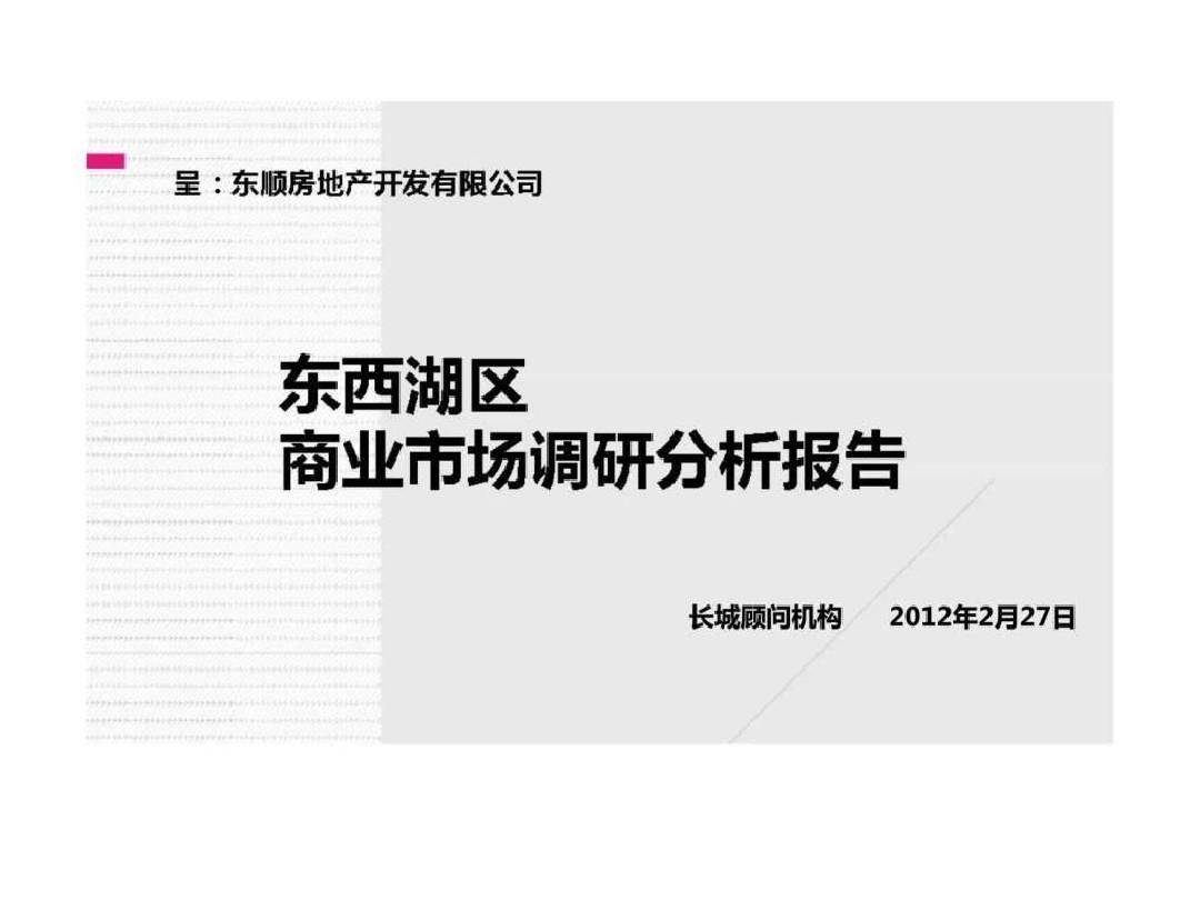 武汉东西湖区商业市场调研分析报告