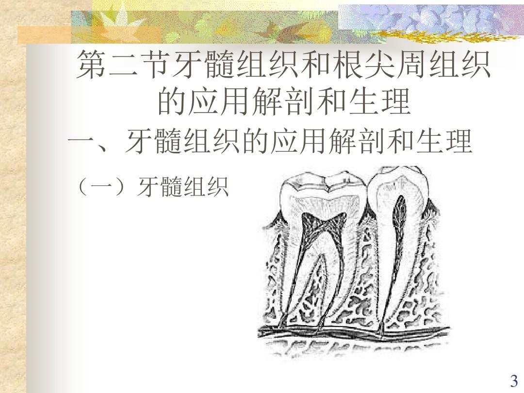 口腔内科学 牙髓根尖周病