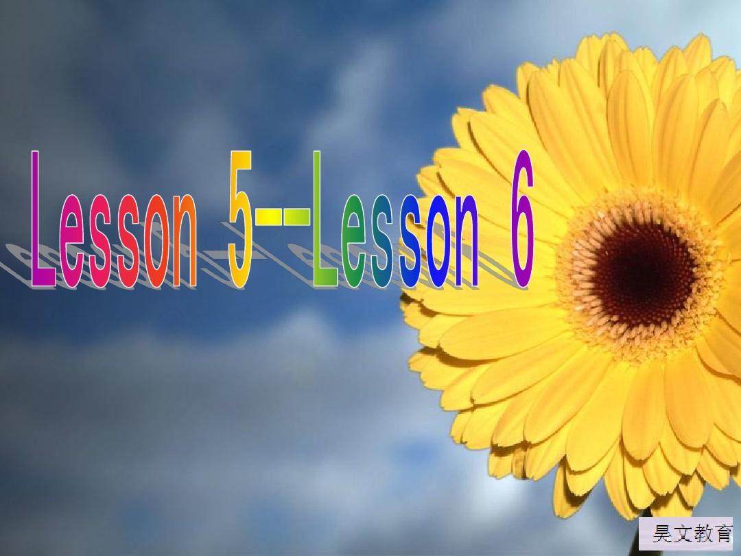 新概念第一册lesson5-6课件