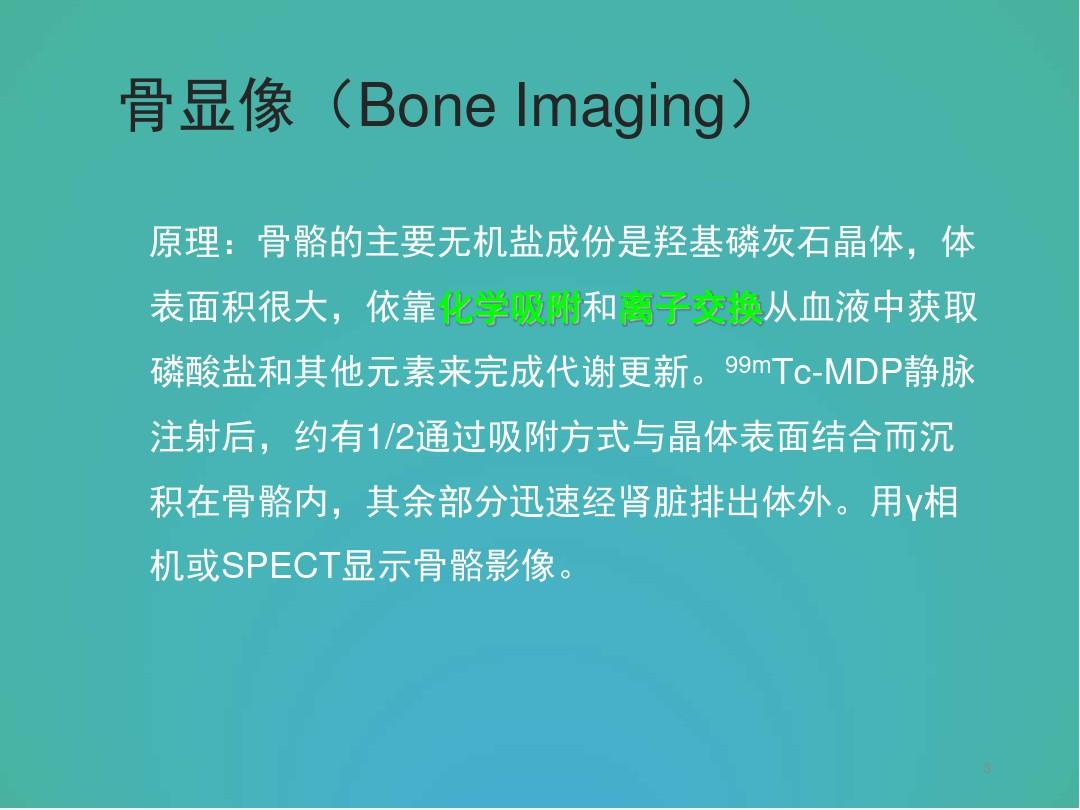 (医学课件)99mTcMDP全身骨显像骨显像