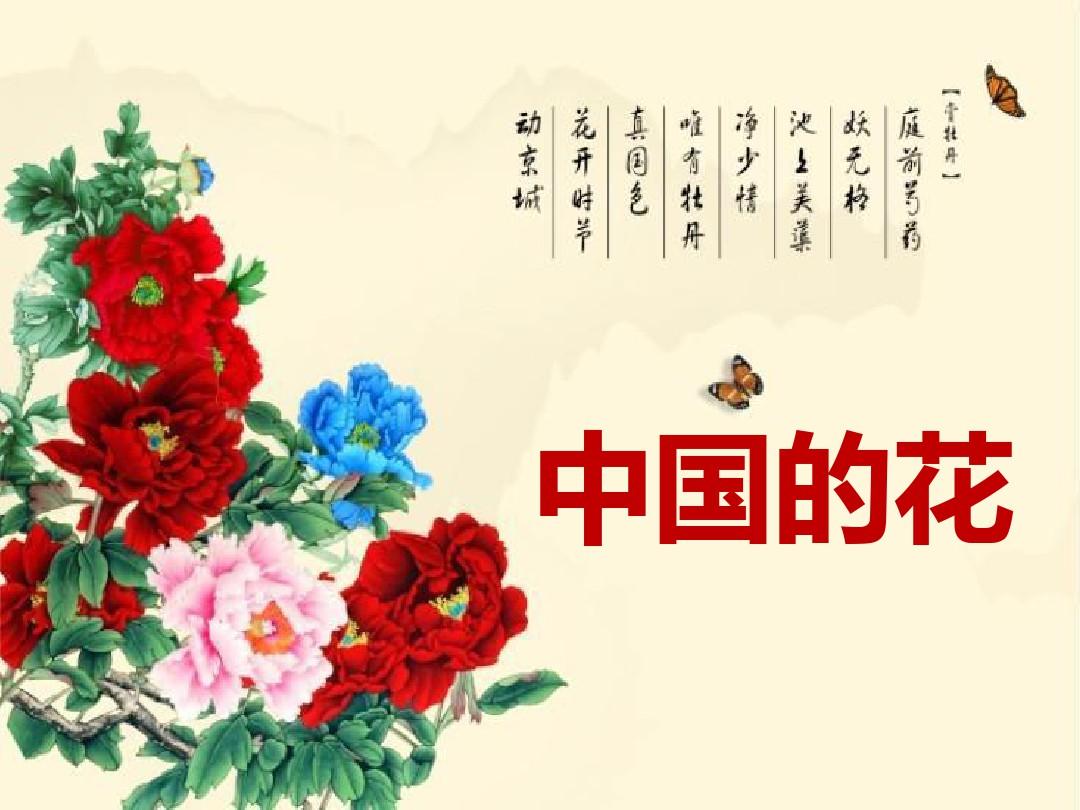 《中国的花》PPT【优秀课件PPT】