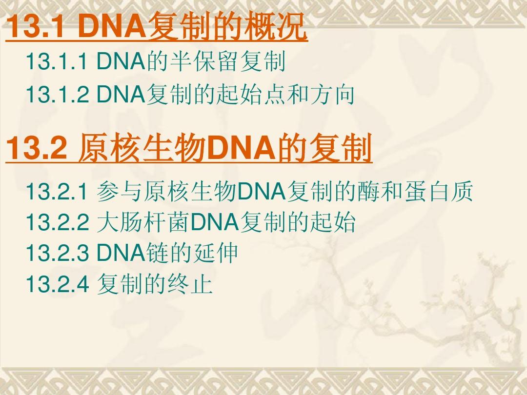 生物化学第13章 DNA的生物合成