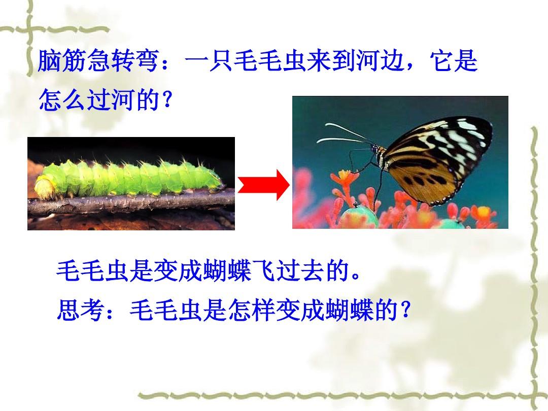 2015年新人教版八年级生物下册第七单元_第一章 第二节 昆虫的生殖和发育_课件