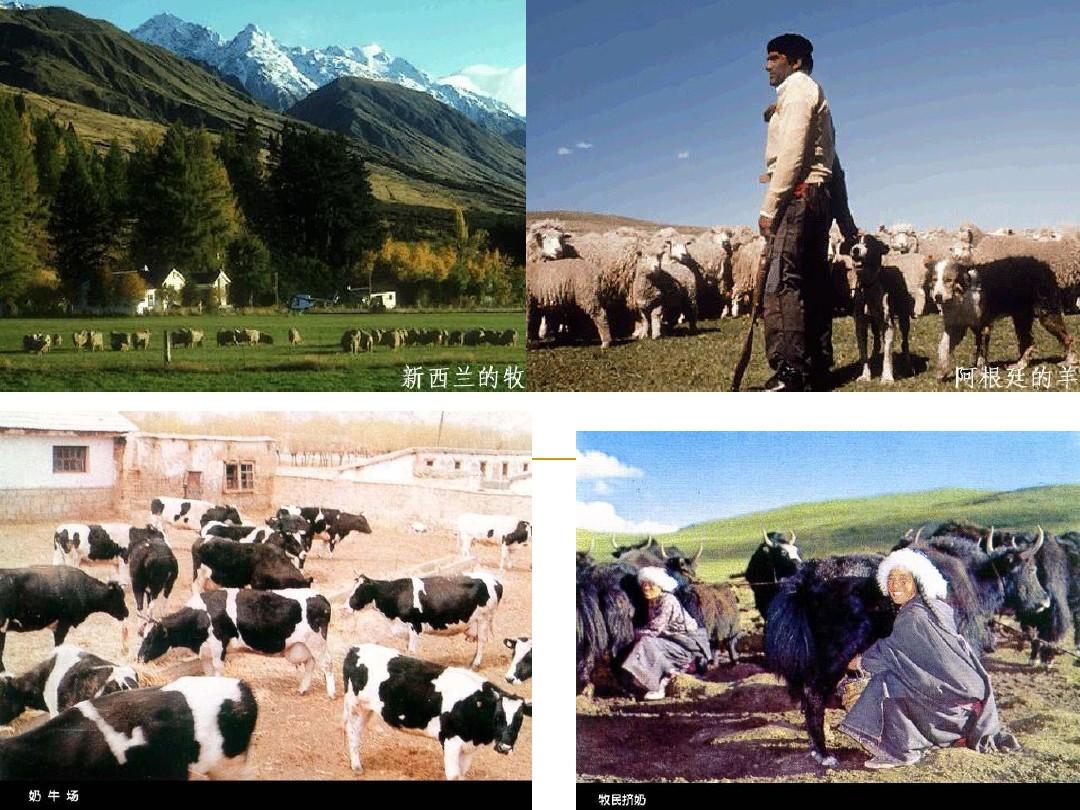 地理 人教版必修2 《第三章 农业地域的形成和发展 第3节 以畜牧业为主的农业地域类型》课件