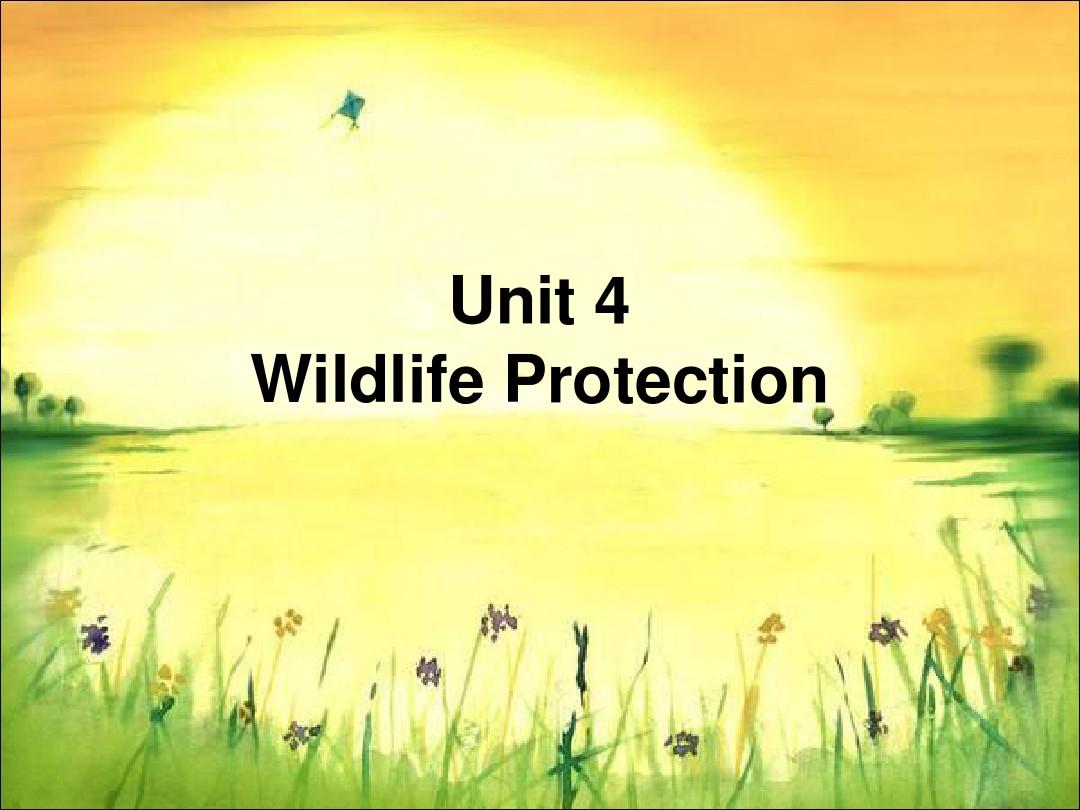 高一英语wildlife protection 课件