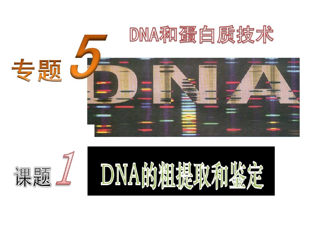 5.1DNA的粗提取与鉴定