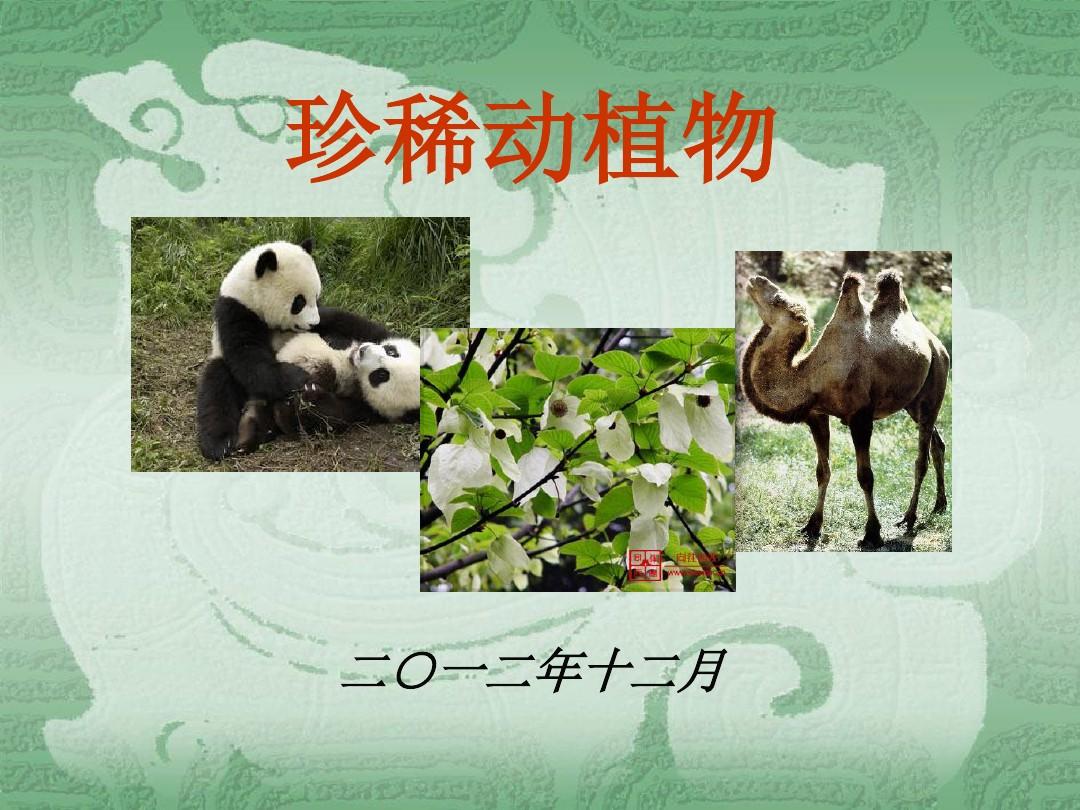 24.中国珍稀动植物