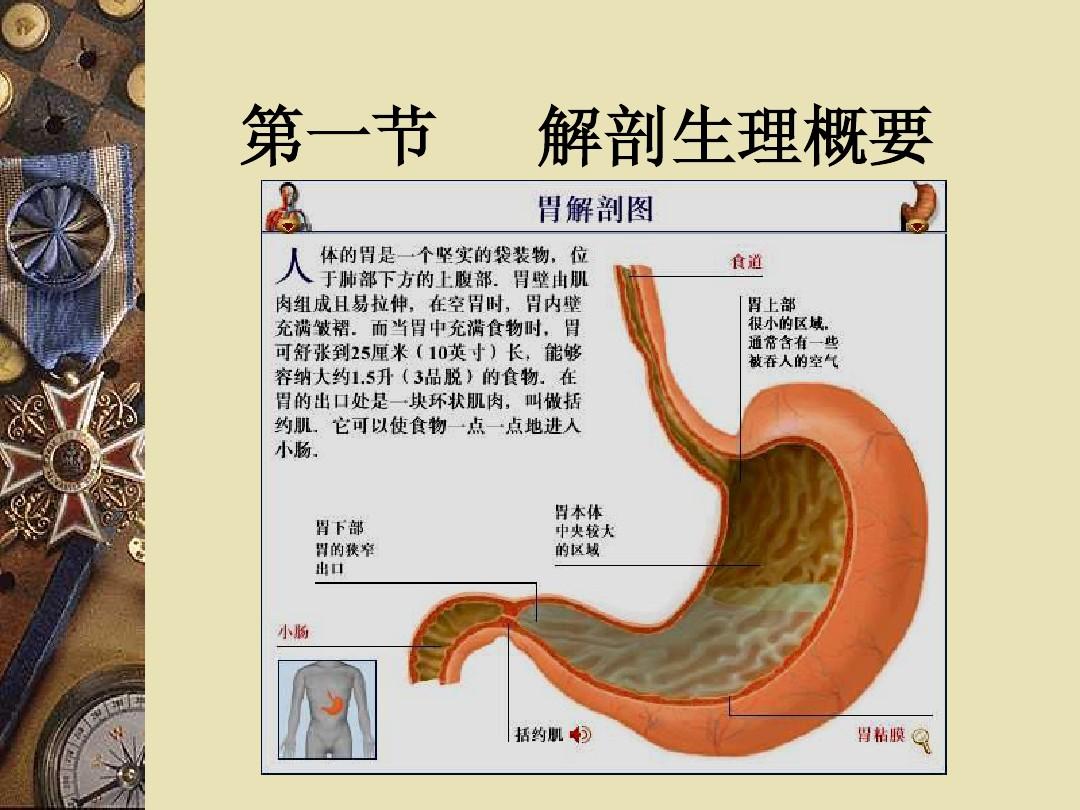 3胃十二指肠疾病病人的护理(4学时)