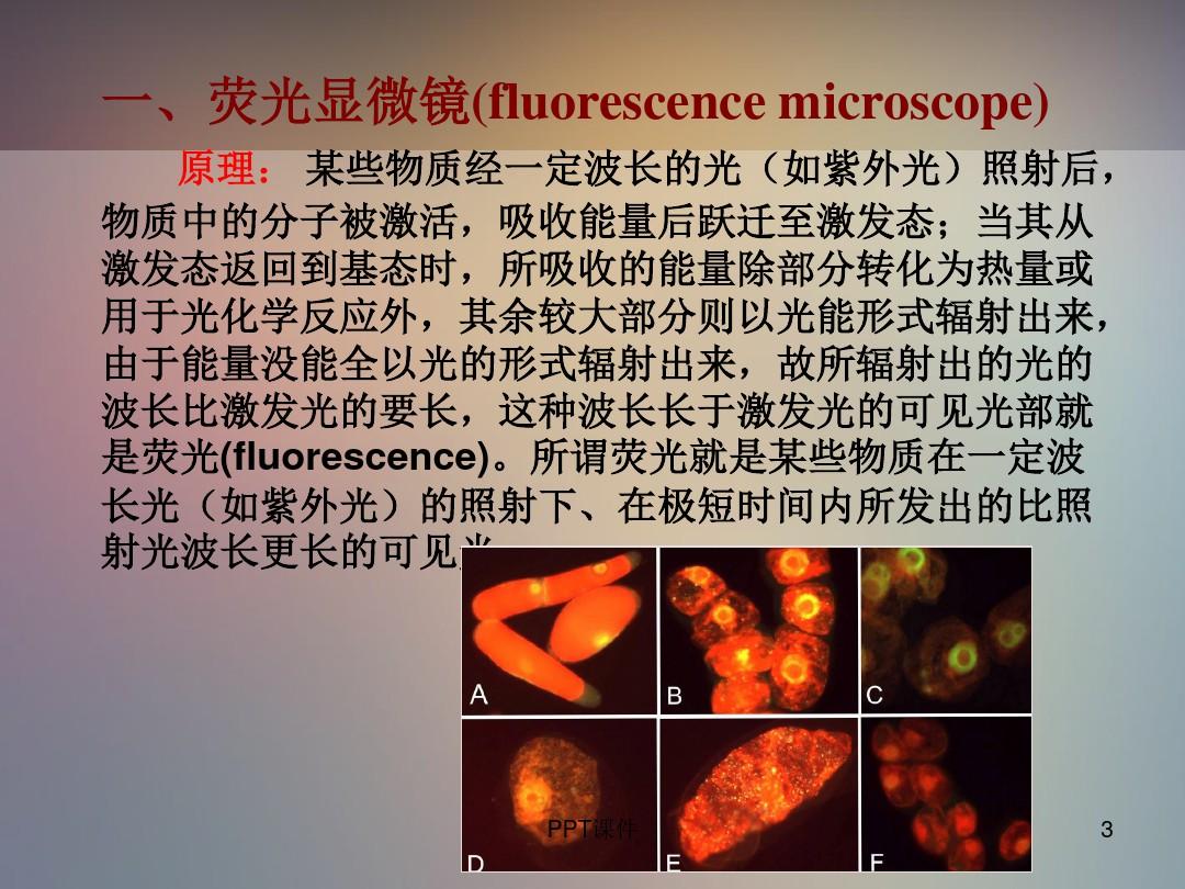 荧光显微镜的基本原理及应用  ppt课件