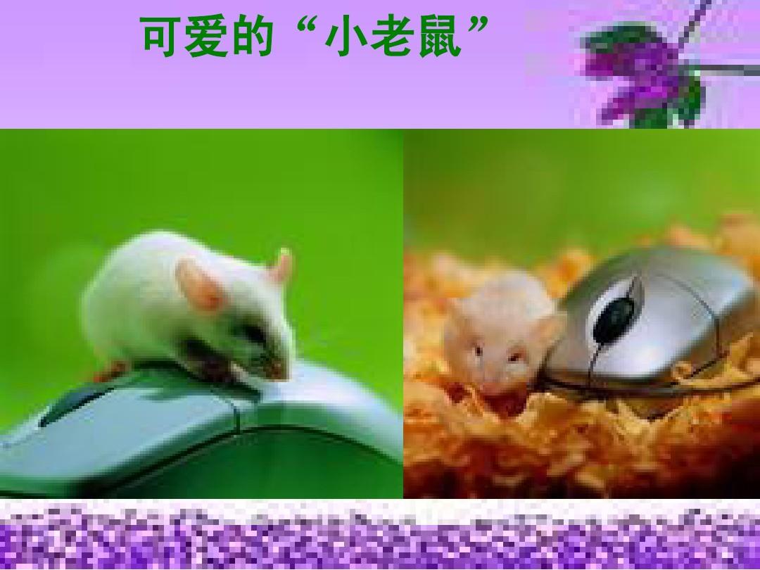 (辽师大版)三年级信息技术上册课件 可爱的小老鼠 1(优质课)