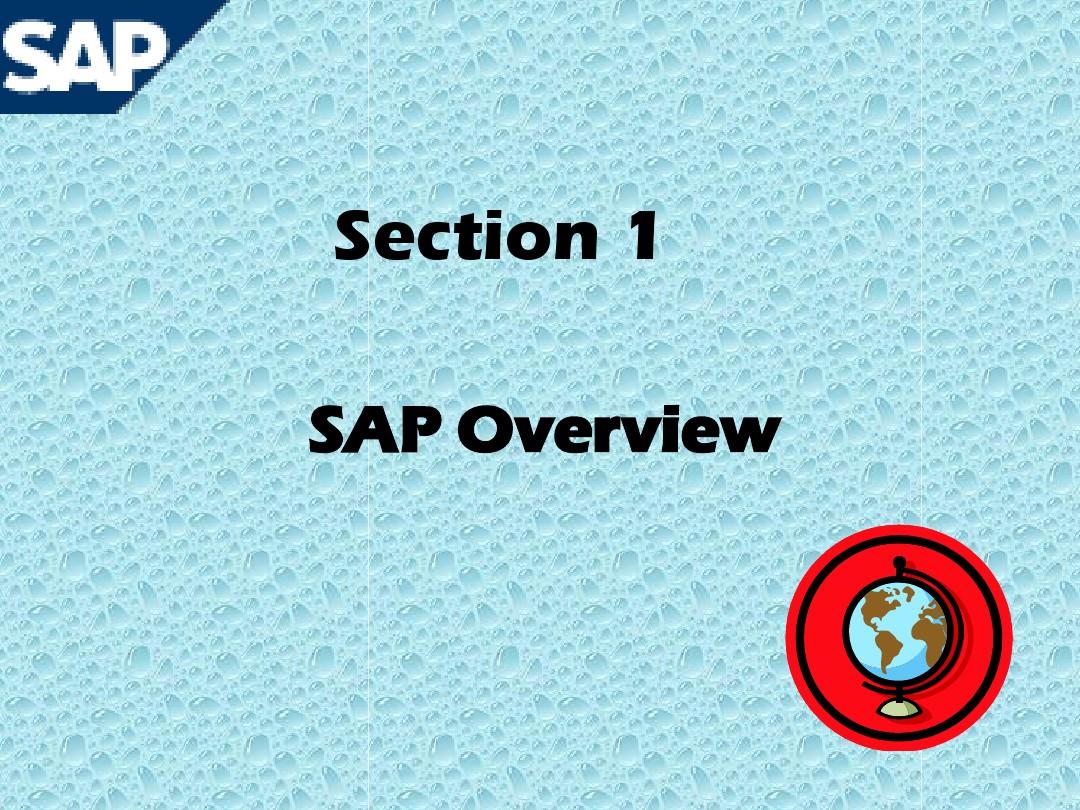 SAP财务模块设置与操作3 overview