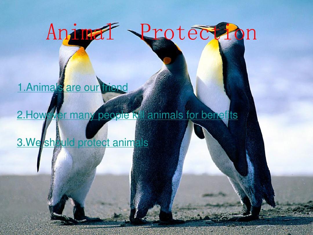 Animal  Protection