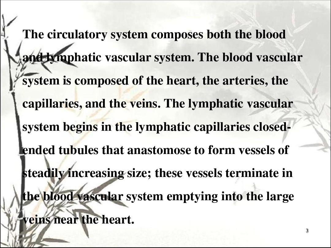 人体解剖生理学-第六章循环系统ppt课件